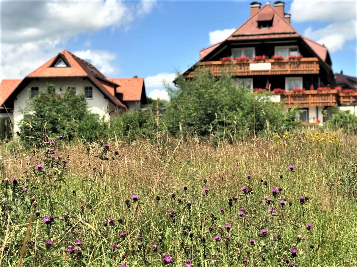 Hotel Zartenbach ฮินเทอร์ซาร์เทน ภายนอก รูปภาพ